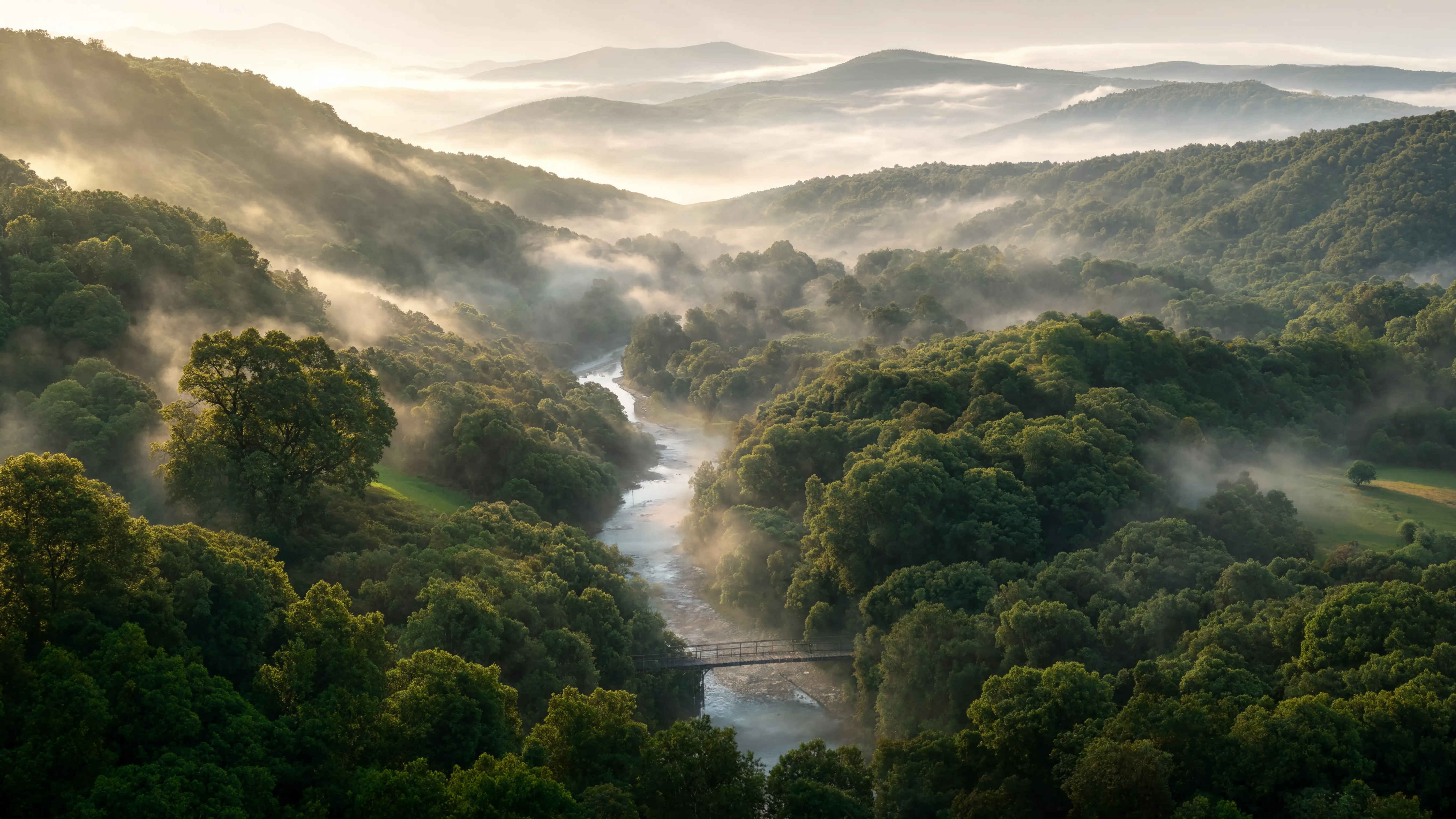 Blick über ein deutsches Tal im Morgenlicht mit Nebel und grünen Hügeln